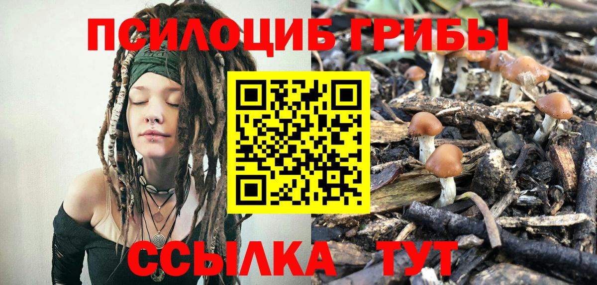 Галлюциногенные грибы мухоморы  Галлюциногенные грибы GOLDEN TEACHER  Ейск  Вход с VPN 