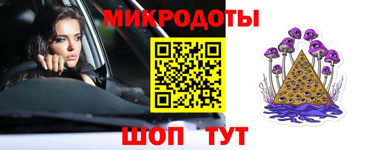 Галлюциногенные грибы Psilocybine cubensis Ейск